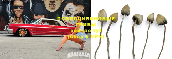 spice Горнозаводск