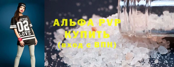 спиды Горняк