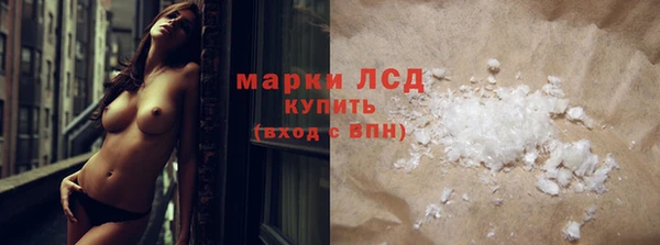 спиды Горняк