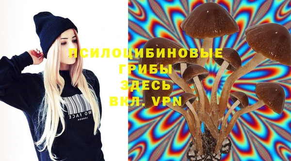 spice Горнозаводск