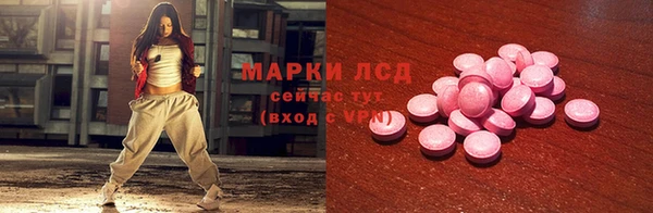 спиды Горняк