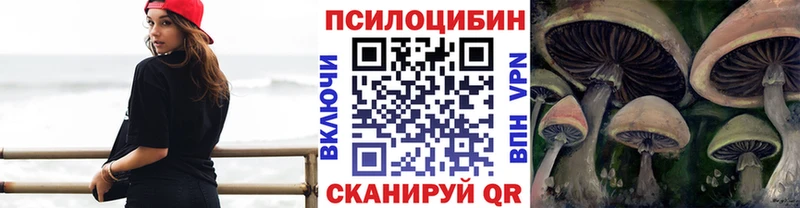 наркошоп Сокол Псилоцибиновые грибы GOLDEN TEACHER