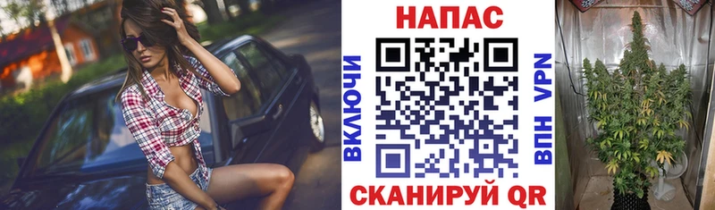 сайты даркнета состав  Сокол  MEGA ССЫЛКА  МАРИХУАНА White Widow  где купить наркоту 